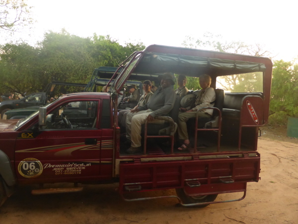 Our Jeeps at Yala National Park