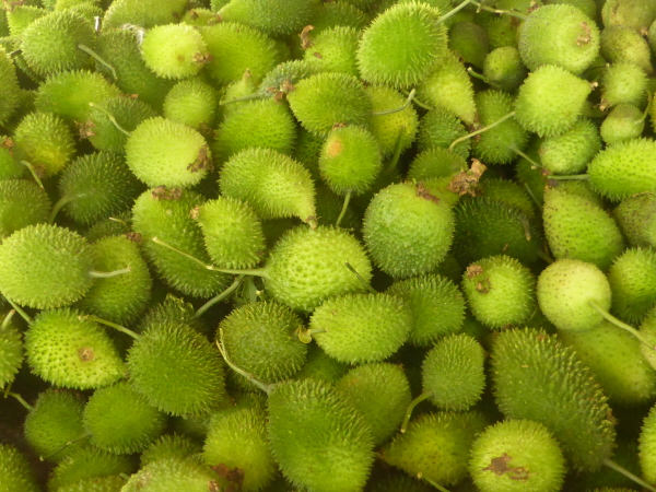 Fruit stall (bitter gourds)